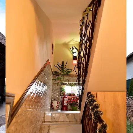 Guest house Pensiunea Dely_cios 3*